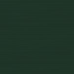 Viridian NME-22