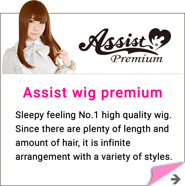 Gesso 240ml - Cosplay wig general specialty store Assist Wig ONLINE SHOP